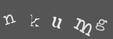Please type the characters of this captcha image in the input box