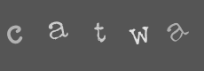 Please type the characters of this captcha image in the input box