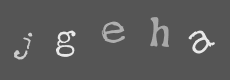 Please type the characters of this captcha image in the input box