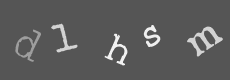 Please type the characters of this captcha image in the input box