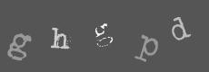 Please type the characters of this captcha image in the input box