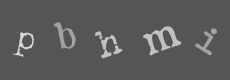Please type the characters of this captcha image in the input box