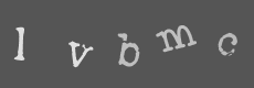 Please type the characters of this captcha image in the input box