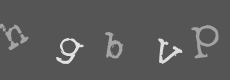 Please type the characters of this captcha image in the input box