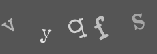 Please type the characters of this captcha image in the input box