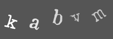 Please type the characters of this captcha image in the input box