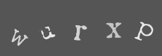 Please type the characters of this captcha image in the input box