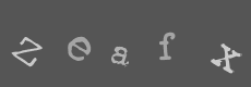 Please type the characters of this captcha image in the input box