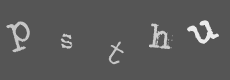 Please type the characters of this captcha image in the input box