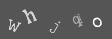 Please type the characters of this captcha image in the input box