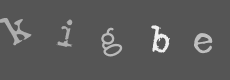 Please type the characters of this captcha image in the input box