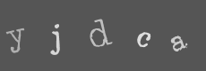Please type the characters of this captcha image in the input box
