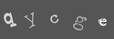 Please type the characters of this captcha image in the input box