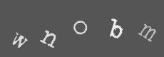 Please type the characters of this captcha image in the input box