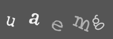 Please type the characters of this captcha image in the input box