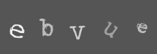 Please type the characters of this captcha image in the input box