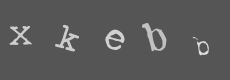 Please type the characters of this captcha image in the input box