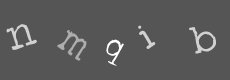 Please type the characters of this captcha image in the input box