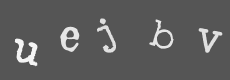 Please type the characters of this captcha image in the input box