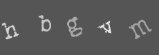 Please type the characters of this captcha image in the input box