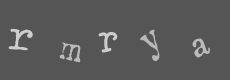 Please type the characters of this captcha image in the input box