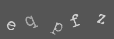 Please type the characters of this captcha image in the input box