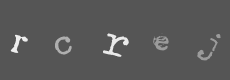 Please type the characters of this captcha image in the input box