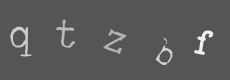 Please type the characters of this captcha image in the input box