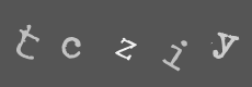 Please type the characters of this captcha image in the input box