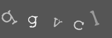 Please type the characters of this captcha image in the input box