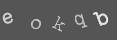 Please type the characters of this captcha image in the input box