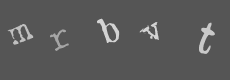 Please type the characters of this captcha image in the input box
