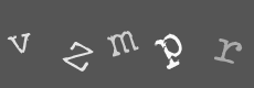 Please type the characters of this captcha image in the input box