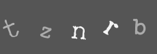 Please type the characters of this captcha image in the input box
