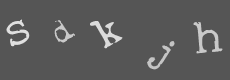 Please type the characters of this captcha image in the input box