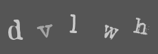 Please type the characters of this captcha image in the input box