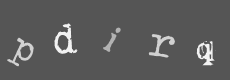 Please type the characters of this captcha image in the input box