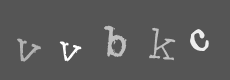 Please type the characters of this captcha image in the input box