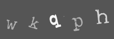 Please type the characters of this captcha image in the input box