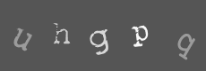 Please type the characters of this captcha image in the input box