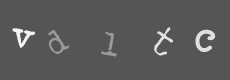 Please type the characters of this captcha image in the input box