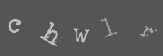 Please type the characters of this captcha image in the input box