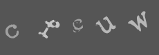 Please type the characters of this captcha image in the input box