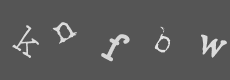Please type the characters of this captcha image in the input box