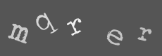 Please type the characters of this captcha image in the input box