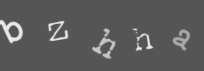 Please type the characters of this captcha image in the input box