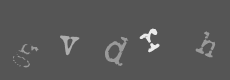 Please type the characters of this captcha image in the input box