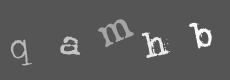 Please type the characters of this captcha image in the input box