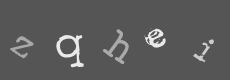 Please type the characters of this captcha image in the input box