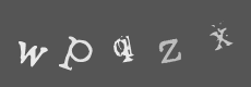 Please type the characters of this captcha image in the input box